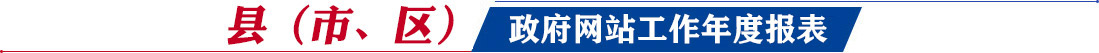 县（市、区）网站工作年度报表